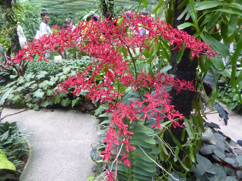 Singapur 2017 589